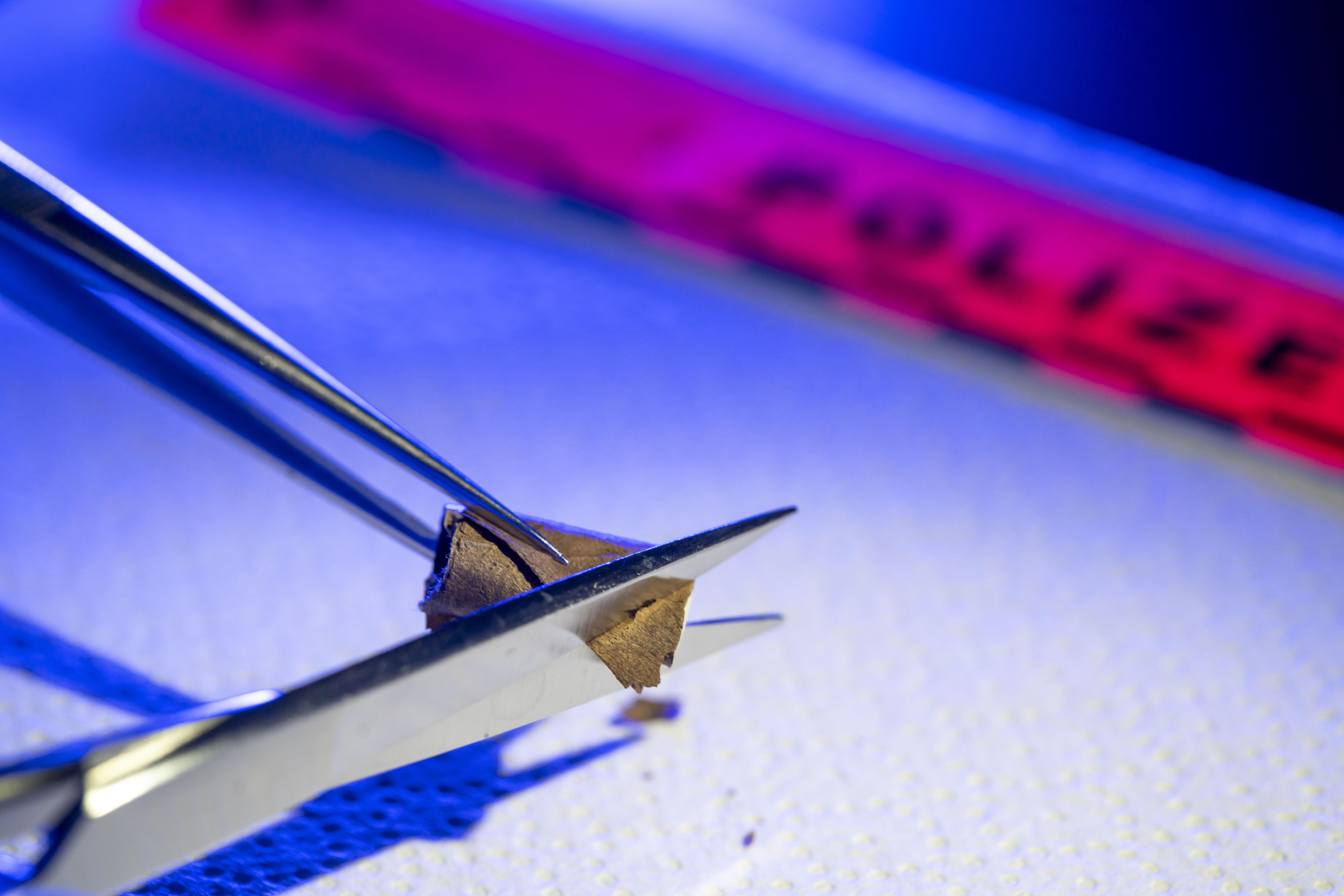 Sicherung DNA an Zigarettenfilter